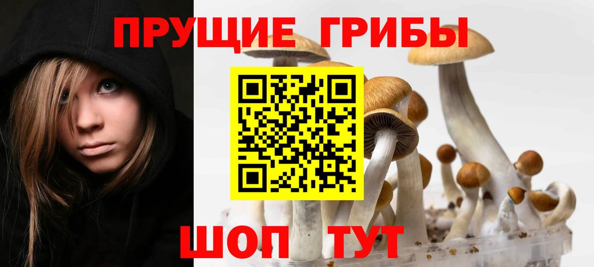 Псилоцибиновые грибы Cubensis Еманжелинск